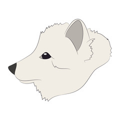 fox portrait vector illustration, color illustration, wild world