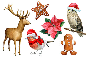 Set of elements Robin little bird owl, deer, poinsettia, cookies on an isolated white background, watercolor illustration, hand drawing, greeting card. 