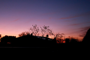 Bellissima alba con cielo colorato e panorama tra le case e i rami degli alberi