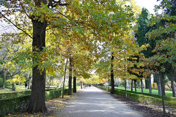 Naklejka premium Madrid