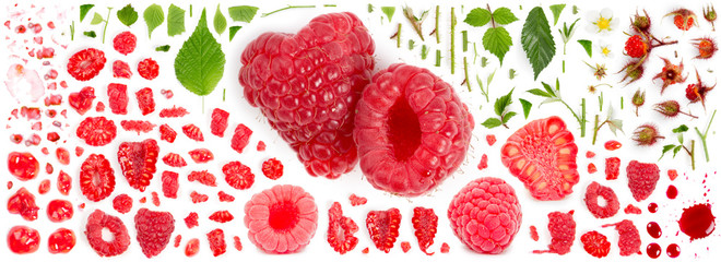 Raspberry Collection Abstract