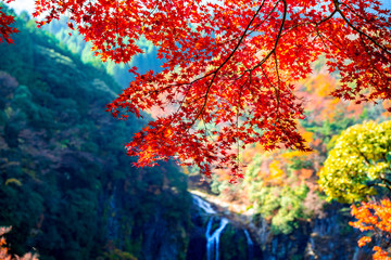 Fototapeta na wymiar 福貴野の滝の紅葉