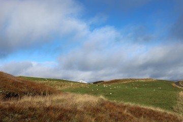Skutustadir pseudo craters in Myvatn Iceland