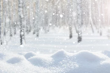 Badezimmer Foto Rückwand Schneefall im Wald vor dem Hintergrund von Birken. © kobzev3179