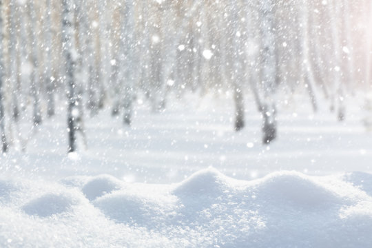 Snowfall In The Forest Against The Background Of Birches.