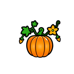 Fresh pumpkin vector design