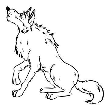 Wolf howling on the moon. Dog or wolf lineart cartoon illustration. Canine in lineart style image. Wild animal in comic style