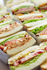 Various take out sandwich cross section