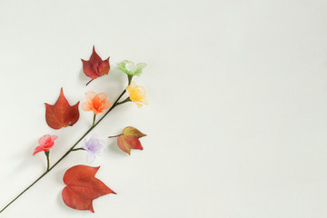 Autumn composition. Dried leaves, flowers on white background.