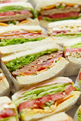 Various take out sandwich cross section