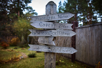 wooden signpost in the forest