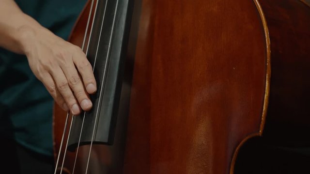 professional musician playing double bass