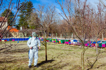 Gardener wearing protective overall sprinkles fruit trees with long sprayer, apiary is in the orchard
