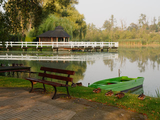 Obraz premium Park recreation area by the lake. Wolsztyn, Poland