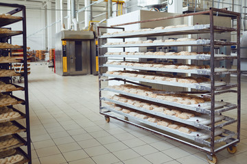 Raw bread on trays before baking in the oven at the bakery factory