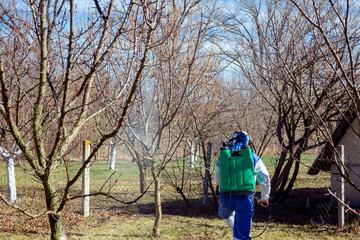 Gardener wearing protective overall sprinkles fruit trees with long sprayer in the orchard