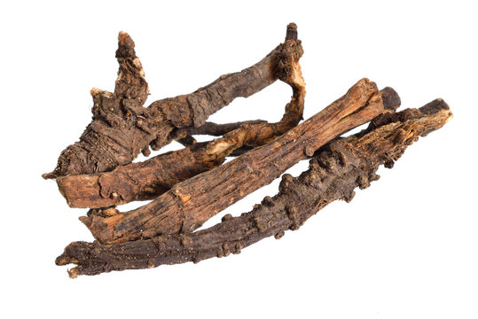 Ligusticum porteri, known as Osha. Dried roots. Isolated on white background