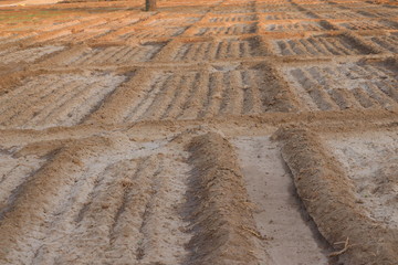 Farmer seeding, sowing crops at field. Sowing is the process of planting seeds in the ground as part of the early spring time agricultural activities. - Image