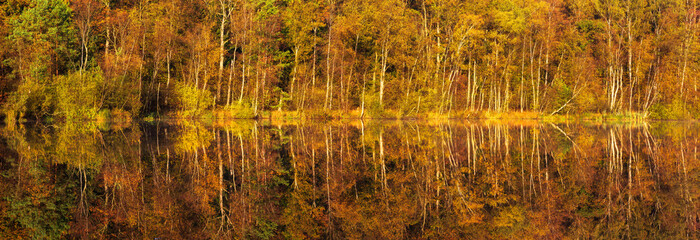 Herbst im Müritz-Nationalpark, stiller See, bunter Wald spiegelt sich, Panorma