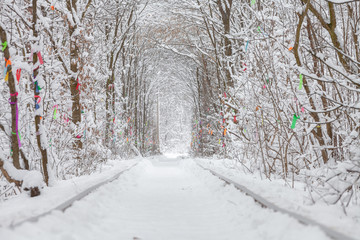 a railway in the winter forest tunnel of love.a railway in the winter forest tunnel of love.