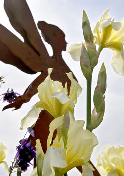 Fr&uuml;hlingsgarten mit bl&uuml;henden Iris und Elfen Figur aus Metall