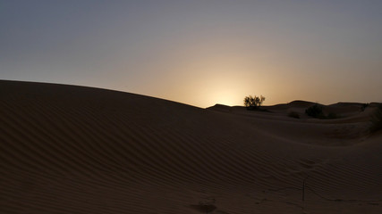 Fototapeta na wymiar Alba nel Sahara
