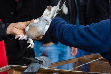 Fototapete bei efototapeten.de bestellen   