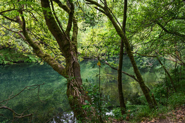 Eume river in the Fragas do Eume park