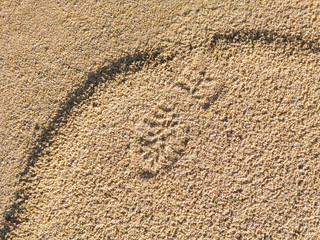 Shoe print 