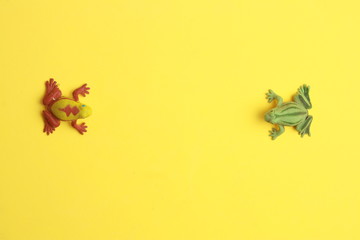 frog shaped rubber toy in color background