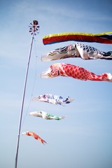 空に泳ぐ鯉のぼり