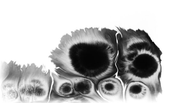 Dripping black spot on white  isolated background