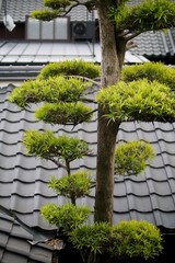 窓から見える松の木と瓦屋根