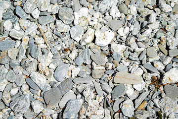 Rocks on river bed