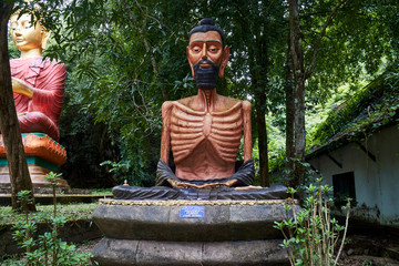 Buddhist monastery in Phuket that nobody knows about, hidden in the jungle