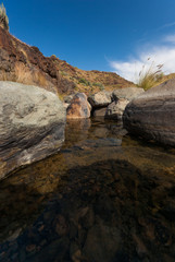 Fototapeta na wymiar Puddle of water in dry landscape