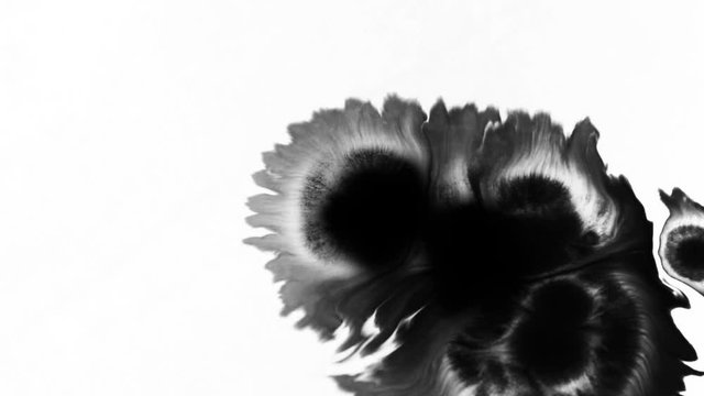 Dripping black spot on white isolated background 