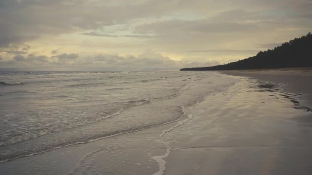 Sea waves rhythmically run onto the sandy beach of the Baltic Sea in summer. Some are more fortunate