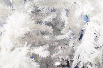 White Christmas tree texture background