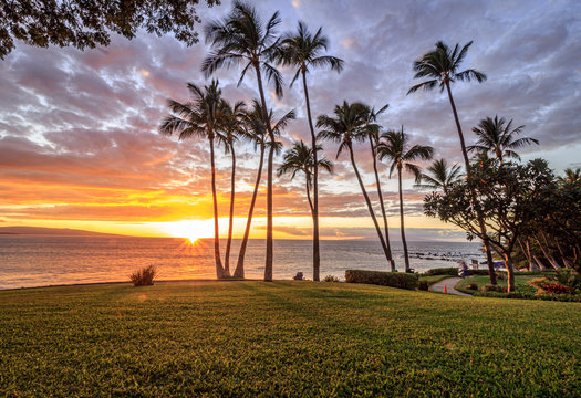 Sunsets in Maui Hawaii with Palm trees 