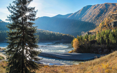 The confluence of two rivers. Autumn view, sunny morning. The sun shines through the branches of...