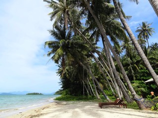 Beach of a tropical island. White sand, blue sky, sea and palm trees