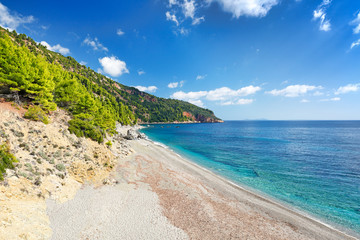 Obraz premium The beach Velanio of Skopelos, Greece
