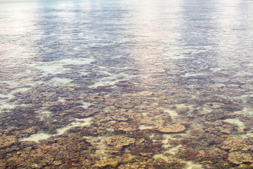 Roral reef around an island in Celebes Sea during low tide, which makes amazing scenery and shows small marine organisms. Remote islands in Bum Bum Island with healthy coral reef.