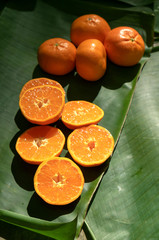 Orange - 307106602