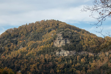Mountain with yellow and green trees