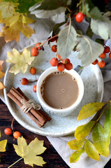 Cocoa in a cup, autumn still life