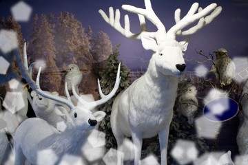 Big plush deer, reindeer, roebuck, bears and owls in snowy landscape. Winter scenery.Animals in winter landscape. Roe deer and deer.  Plush animal models.