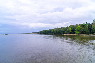 riverbank green forest