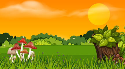 Naklejka premium Background design of landscape with park at sunset